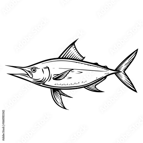 Marlin fish illustration showcasing fine details and dynamic form of marine life known for speed and agility in ocean habitats