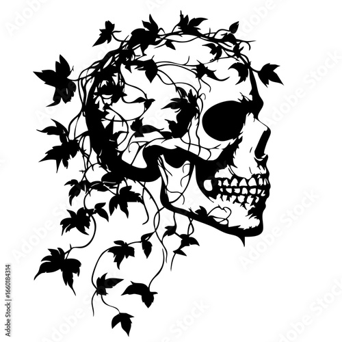 Skull entwined with ivy vines, showcasing intricate details and bold black vectors emphasizing nature's intertwining with mortality