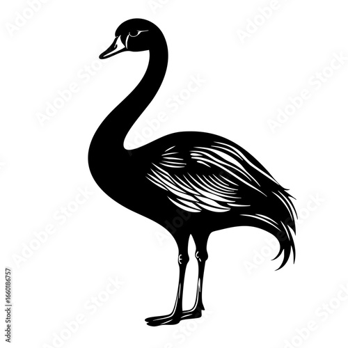 Elegant black vector illustration of a swan with detailed feathers, showcasing grace and beauty in a serene posture