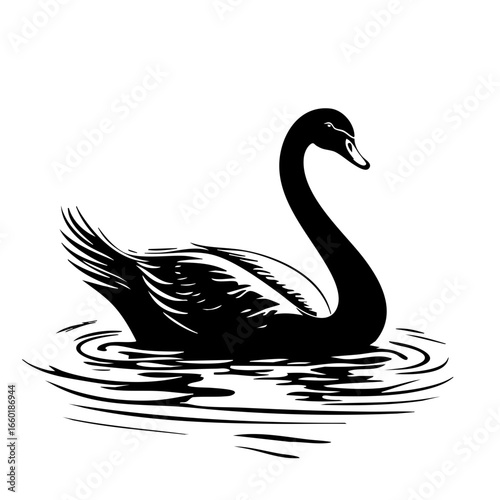 Elegant black swan gliding gracefully on tranquil water surface during serene afternoon, showcasing beauty of nature in smooth silhouettes