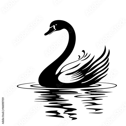 Elegant black swan gracefully gliding across tranquil water with rippling reflections