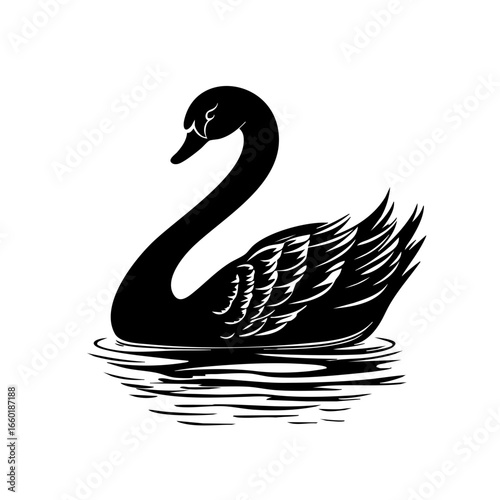 Elegant black swan gracefully gliding across tranquil water in a serene natural habitat during a calm afternoon