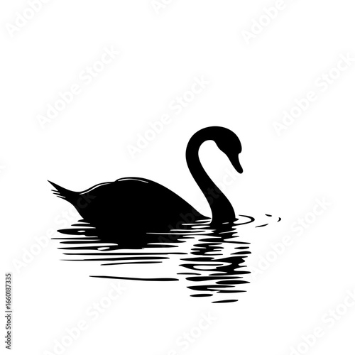 Elegant black swan gracefully gliding across tranquil water with ripples reflecting its beauty