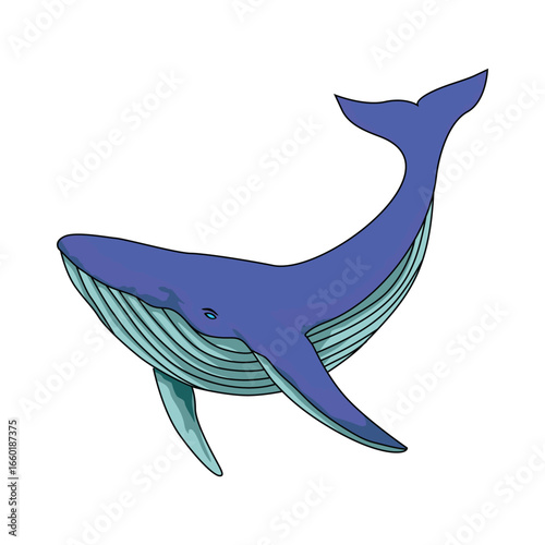 humpback whale cartoon design. big fish symbol.