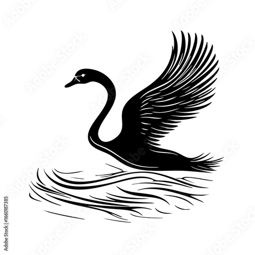 Elegant black swan gracefully spreading its wings while gliding over gentle water waves during a serene moment in nature