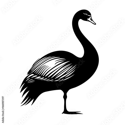 Elegant black vector silhouette of a swan showcasing graceful posture and detailed plumage
