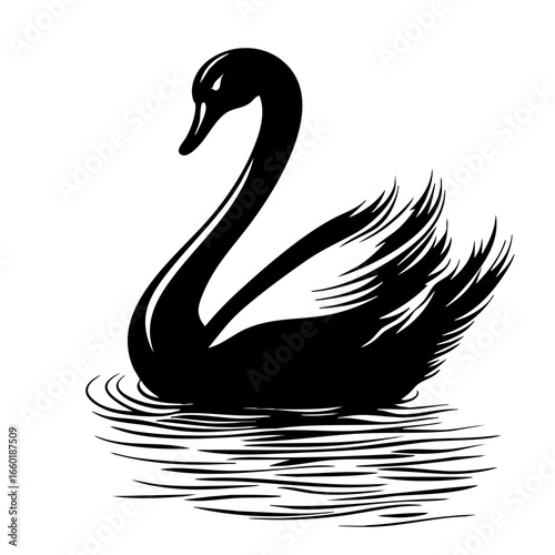 Elegant black swan gracefully gliding on calm water with flowing feathers showcasing beauty in nature