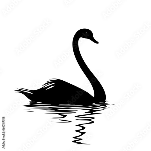 Elegant black swan gliding gracefully on still water with gentle ripples forming around its reflection