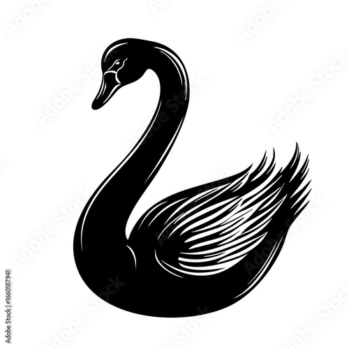 Elegant black swan with detailed feathers gliding gracefully, representing beauty and grace in nature
