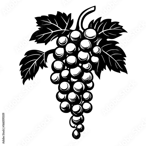 Cluster of black grape vectors showcasing detailed leaves and plump berries in a natural style for culinary and artistic use