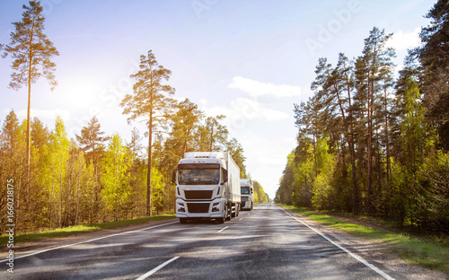 Wallpaper Mural A column of trucks with semi-trailers transports cargo along a country road. Logistics company for the delivery of consolidated cargo. GPS tracking and cargo insurance. Summer nature and forest.  Torontodigital.ca