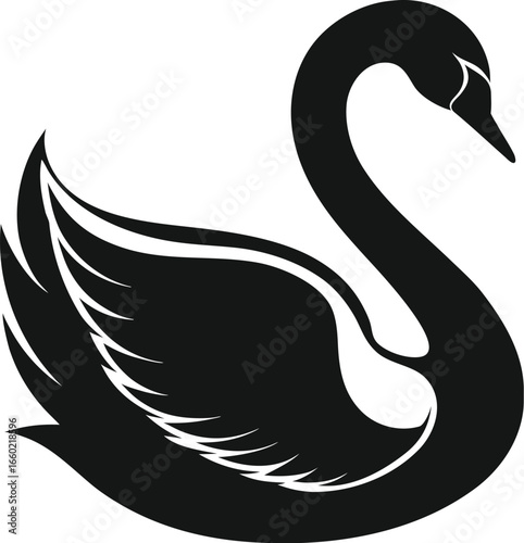 Elegant swan silhouette on white background