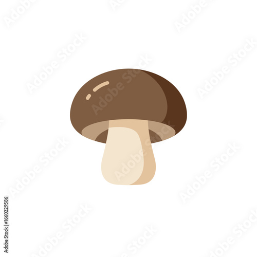 Brown mushroom with a light stem on a white background