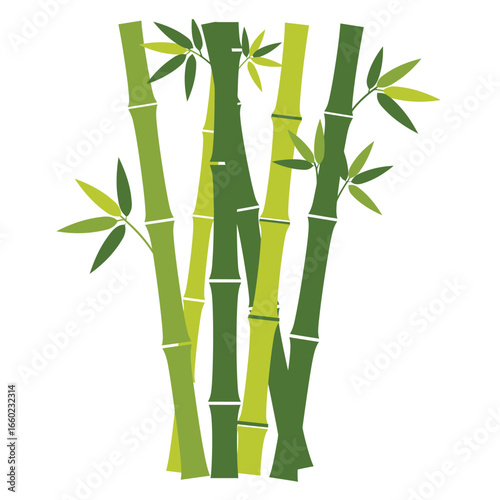 Green bamboo stalks with leaves in a stylized flat design on white