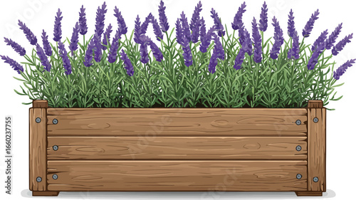 Rustic wooden planter with vibrant lavender blooms