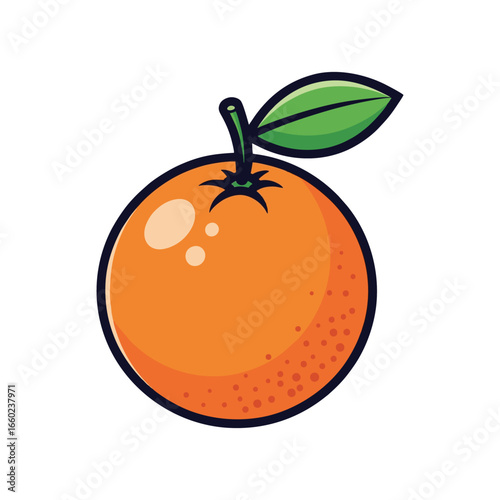 vector illustration of orange fruit