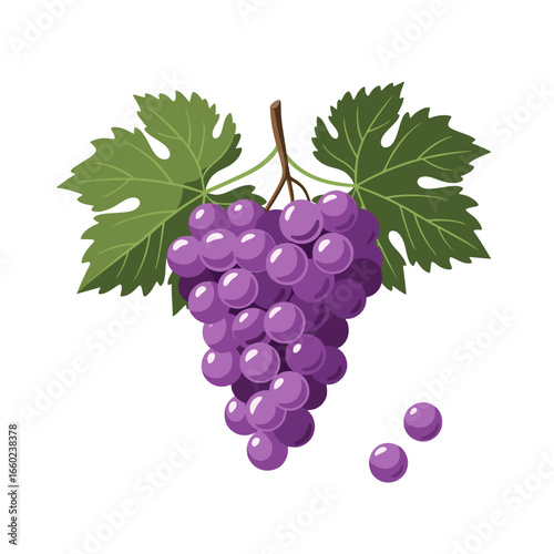 bunch of grapes isolated on white