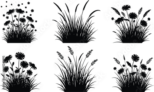 Collection of Six Grass and Wildflower Silhouettes Vector Illustration for Nature, Botanical, Floral, Garden, Outdoor, and Decorative Design Projects