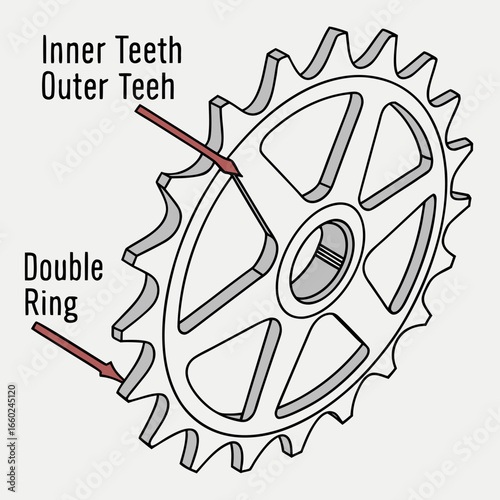 Illustration of a bicycle chainring with labels pointing to inner and outer teeth and the double ring