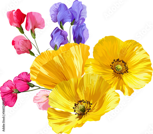 Vector bouquet yellow flowers. Poppy, buttercup, anemone yellow and sweet pea flower
