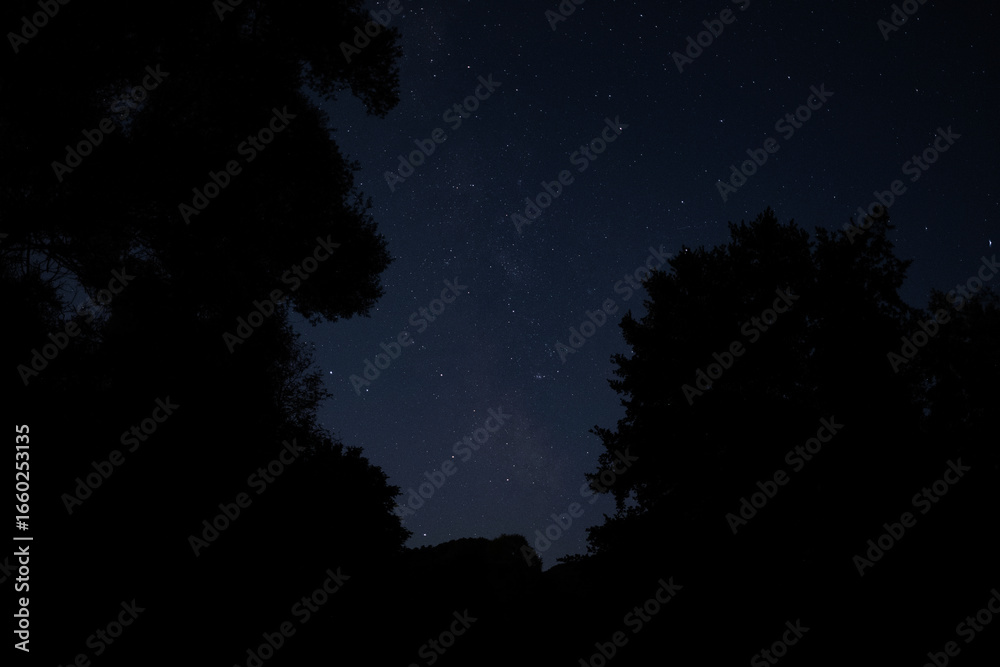 Naklejka premium Night sky with thousands of stars shining above forest silhouettes, clear view of constellations and galaxy. View of the Milky Way from the northern hemisphere.
