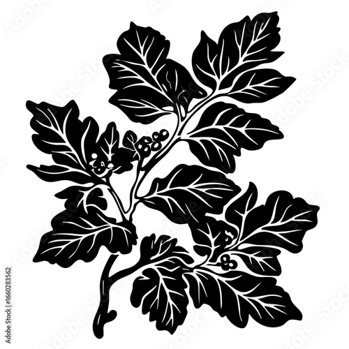 Decorative black vector illustration of holly leaves and berries designed for seasonal embellishments and festive themes during winter holidays