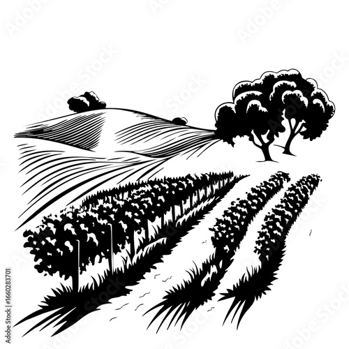Vineyard landscape with rolling hills and trees showcasing a bountiful crop in a serene countryside setting