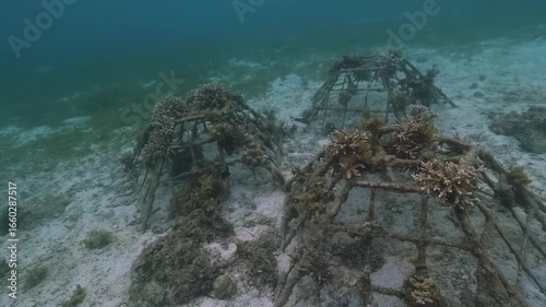 Three pyramid-shaped structures for coral farming stand on the seabed in a marine reserve near Malapascua Island, Philippines. Check my portfolio for more coral restoration footage.