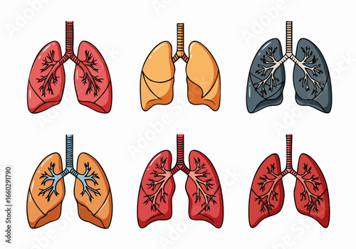 Human Lungs Anatomy Illustrations Set with Variations, depicting healthy and diseased respiratory organs for medical education and health awareness.