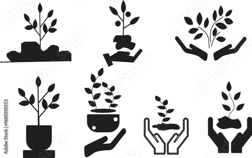 Set of Icons Illustrating Plant Growth and Cultivation in Various Stages of Development and Care