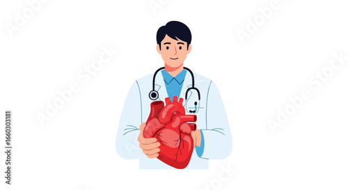 Friendly male cardiologist in a white coat with a stethoscope holding a human heart.