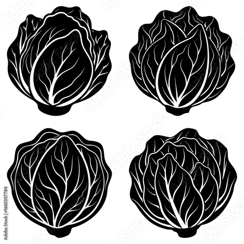 Four stylized cabbage heads in black and white with detailed leaf veins and a simple background image