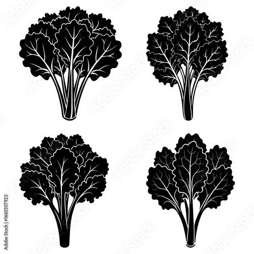 Four black and white bunches of leafy greens with detailed leaf veins on a plain white background