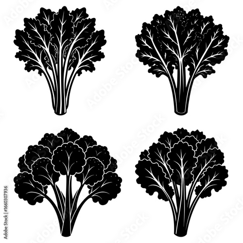 Four black and white vector illustrations of leafy plants with prominent veins and bushy foliage design