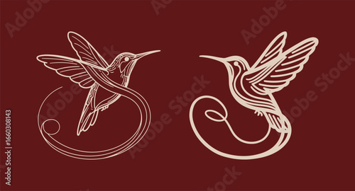 Elegant vector illustration of two hummingbirds in a decorative, line art style. Ideal for logo or t-shirt design.