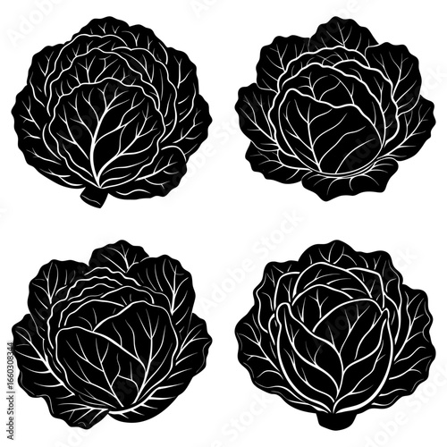 Four black and white cabbage heads with detailed leaf patterns in a symmetrical arrangement on white background