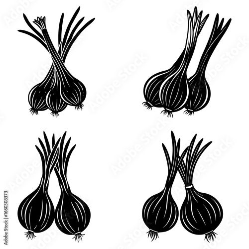 Black and white illustration of four groups of onions with long stems and bulbous bottoms arranged nicely