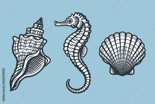 Seahorse seashell engraving black outline vector illustration