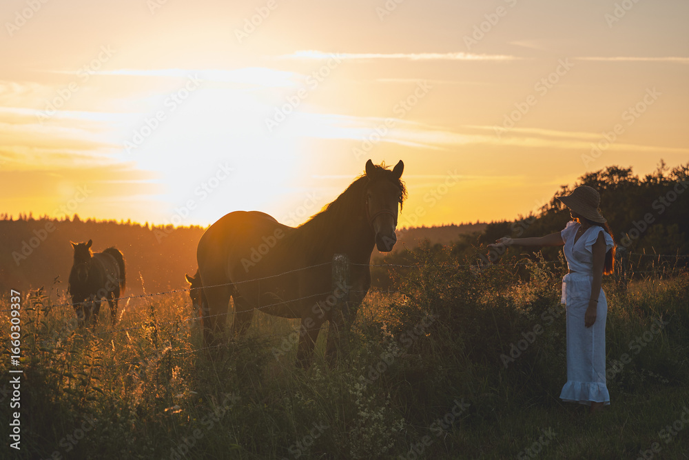 Obraz premium A horse in a meadow in the mountains of Poland