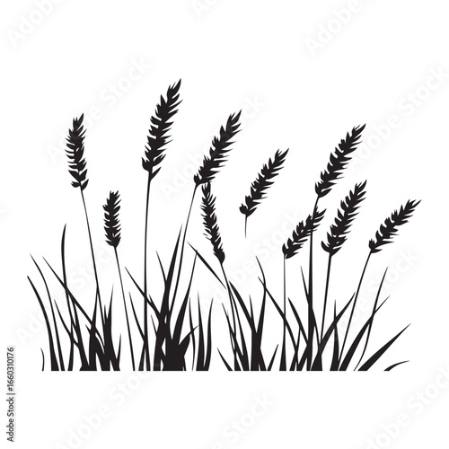 Natural Grass Silhouette Vector Graphic