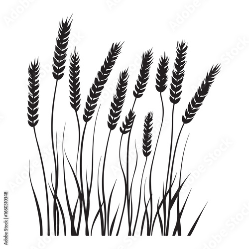 Natural Grass Silhouette Vector Graphic