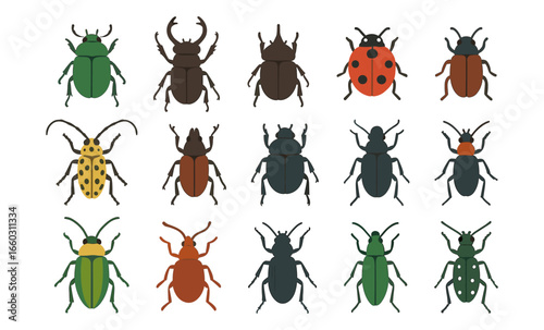 Colorful flat style insect collection featuring diverse beetles and bugs