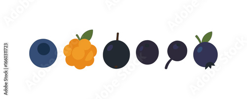 Colorful flat wild berries collection featuring blueberry, cloudberry, and blackcurrant