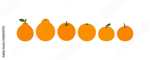 Flat style citrus fruits variety showcase with minimalist design