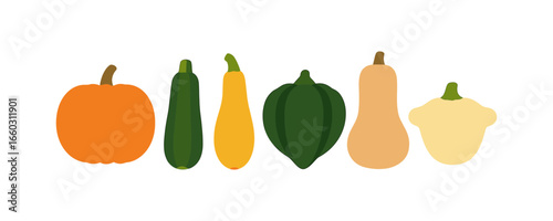 Colorful flat design autumn squash collection for seasonal decor