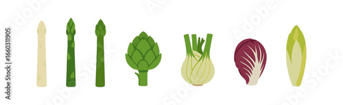 Fresh spring vegetables set with asparagus, artichoke, fennel, chicory, and endive