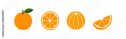 Flat style orange fruit collection: whole, sliced, and half sections