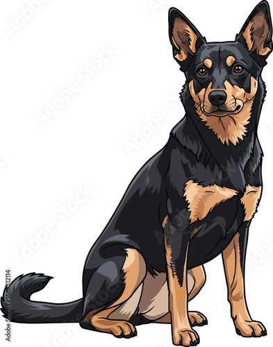 Australian Kelpie dog sitting side view vector illustration