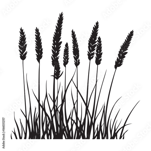 Natural Grass Silhouette Vector Graphic