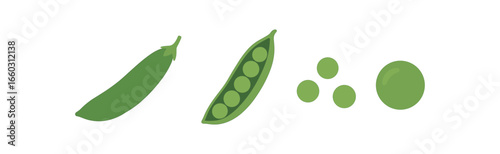 Flat green peas: whole pod, split pod, and individual peas in minimalist style